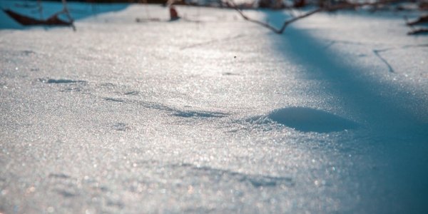 Климатический портрет февраля в Приморье