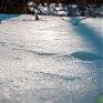 Климатический портрет февраля в Приморье