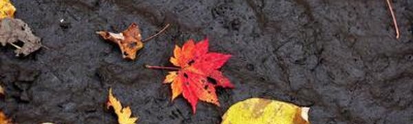 В четверг ночью в Приморье пройдут осадки