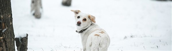 Сегодня в Приморье ещё возможен небольшой снег