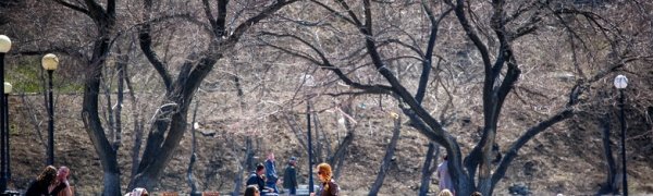 Первая декада мая во Владивостоке была теплее обычного