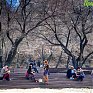 Первая декада мая во Владивостоке была теплее обычного