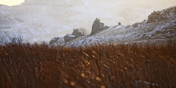 Минувшей ночью морозы в Приморье окрепли до −30 °C