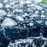 В Приморье усиливается ветер, возможен отрыв льда и взлом припая