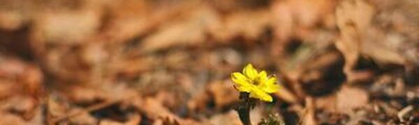 Синоптики рассказали о погоде в Приморье до конца марта