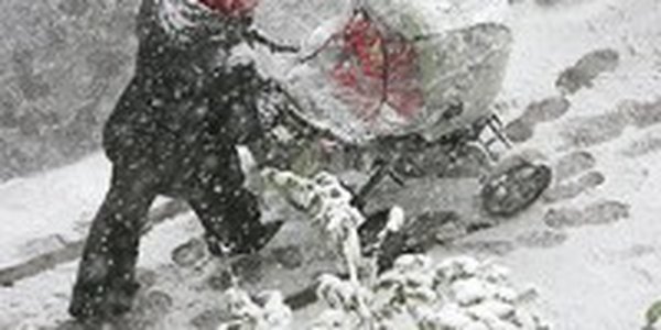 Приморье и Владивосток накроют снегопады