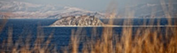 Инфографика: Декабрь в числах