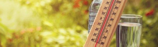 Прошедшее лето было одним из самых тёплых в Северном полушарии