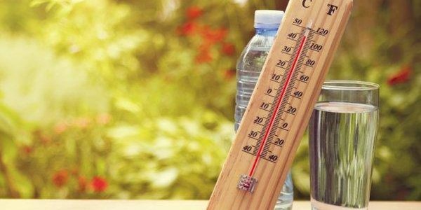 Прошедшее лето было одним из самых тёплых в Северном полушарии