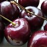 Глобальное потепление портит вкус фруктов