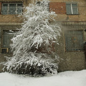 Снег в середине весны (ФОТО)