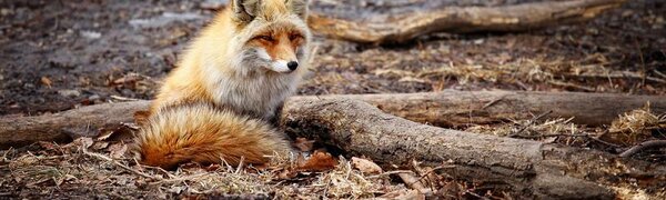 В понедельник погода в Приморье испортится