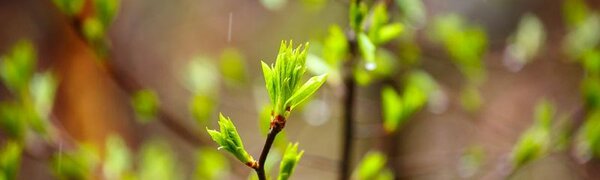 Вечером во Владивостоке похолодает до +11 °C