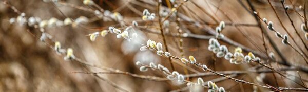 Синоптики дали прогноз погоды на последние выходные марта в Приморье и Владивостоке