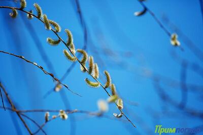 В пятницу погода в Приморье начнет меняться