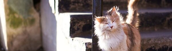 До +17°С прогреется воздух в континентальных районах Приморья в четверг