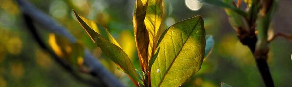 В среду местами в Приморье потеплеет до +16 °C