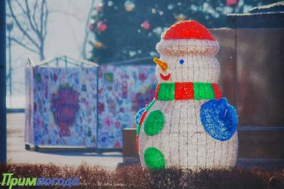 Во Владивостоке завершается монтаж зимнего городка