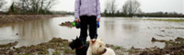 В Великобритании зима готова стать самой влажной в истории