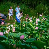 В Приморье пройдут грозы и похолодает