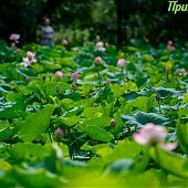 В Приморье пройдут грозы и похолодает