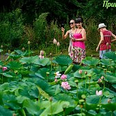 В Приморье пройдут грозы и похолодает