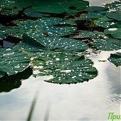 В Приморье пройдут грозы и похолодает