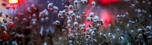 Синоптики рассказали, в каких районах Приморья выпадут осадки в пятницу