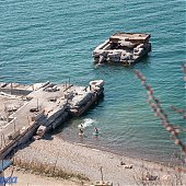 Во Владивостоке наступило время «ханами»