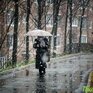 Циклон испортит погоду в Приморье в пятницу и субботу
