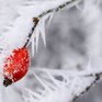 Учёные рассказали о смертельной опасности зимы‍