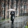 Южный циклон принесёт в Приморье сильный дождь и дождь со снегом