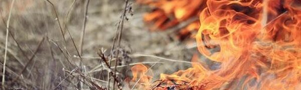 С 1 апреля на всей территории Приморья стартовал пожароопасный сезон