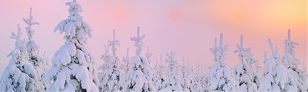 Экстремальное начало зимы на Дальнем Востоке: в Приамурье объявлен режим ЧС