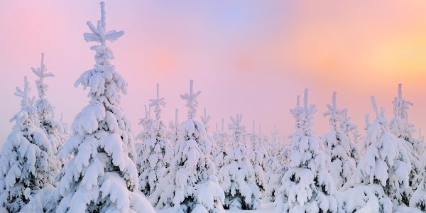 Экстремальное начало зимы на Дальнем Востоке: в Приамурье объявлен режим ЧС