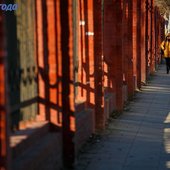 На этой неделе во Владивостоке было морозно