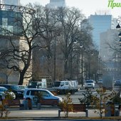 На этой неделе во Владивостоке было морозно