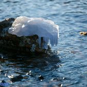 На этой неделе во Владивостоке было морозно
