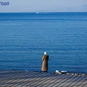 На этой неделе во Владивостоке было морозно