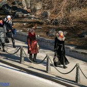 На этой неделе во Владивостоке было морозно