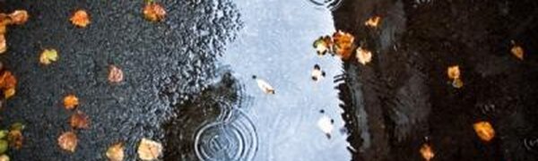 Дождливая погода вернется в Приморье в среду