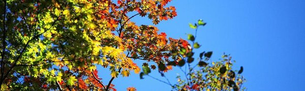 Сентябрь попрощался с Приморьем теплой погодой