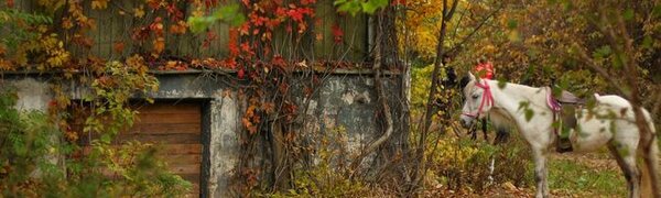 Первые выходные октября в Приморье удивят контрастной погодой