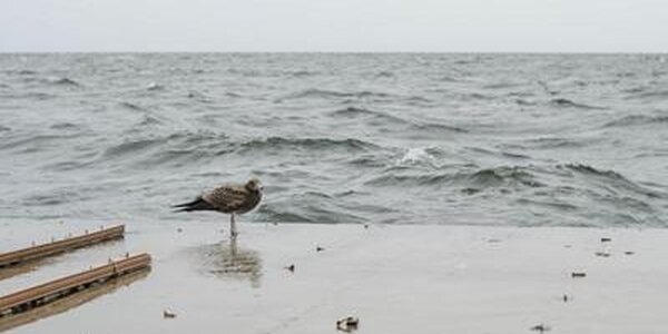 С холодной дождливой погоды начнется следующая неделя в Приморье