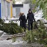 Первый снегопад обрушился на Кемерово: поваленные деревья и ДТП