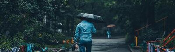 Дожди различной интенсивности пройдут в Приморье во вторник