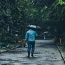 Дожди различной интенсивности пройдут в Приморье во вторник