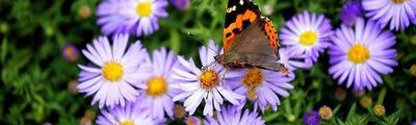 В последние выходные сентября температура во Владивостоке превысила норму на 2 — 4 градуса