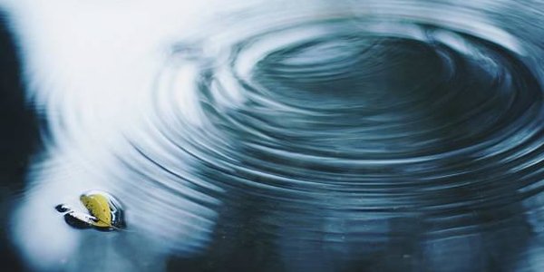 Дожди остановят спад воды на реках Приморья