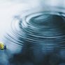 Дожди остановят спад воды на реках Приморья